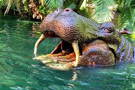 hippopotamus-images